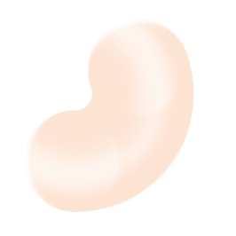 Shapes